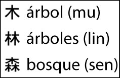 Claridad Densa - Densidad Clara - Figura 2